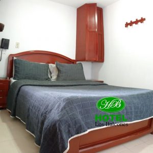 Habitacion Ejecutiva 1  👤
