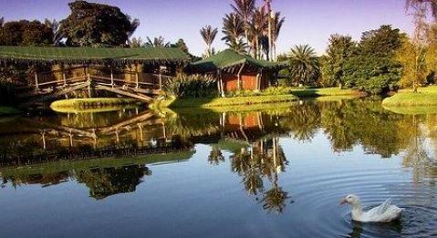 Jardín botánico de Bogotá